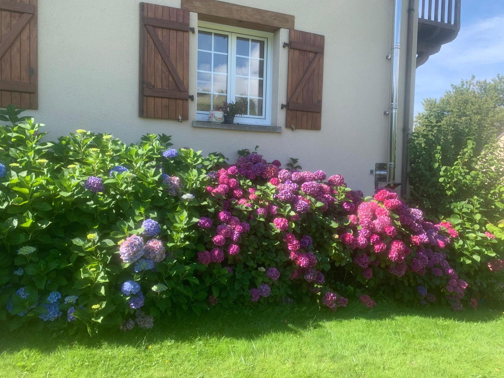 Chambres D'Hotes Le Bignon Dans Les Alpes Mancelles Villaines-la-Juhel Eksteriør billede